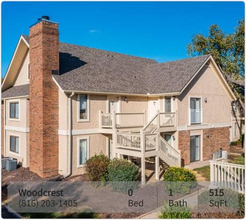 Fabulous 515 sq ft Studio in sought-after Kansas City area